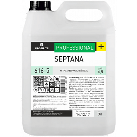 Антибактериальный гель - Pro-Brite Septana 5л