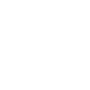 163i